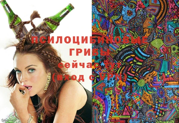 дмт Бугульма