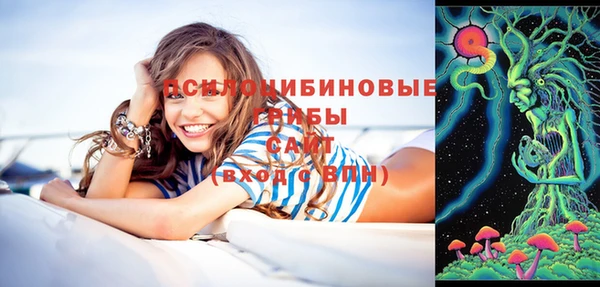 дмт Бугульма