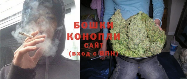 гидропоника Бородино