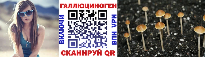 Галлюциногенные грибы прущие грибы сколько стоит Кемь